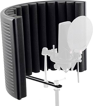 SE ELECTRONICS Reflexion Filter RF-X (Black) : Amazon.in: Musical